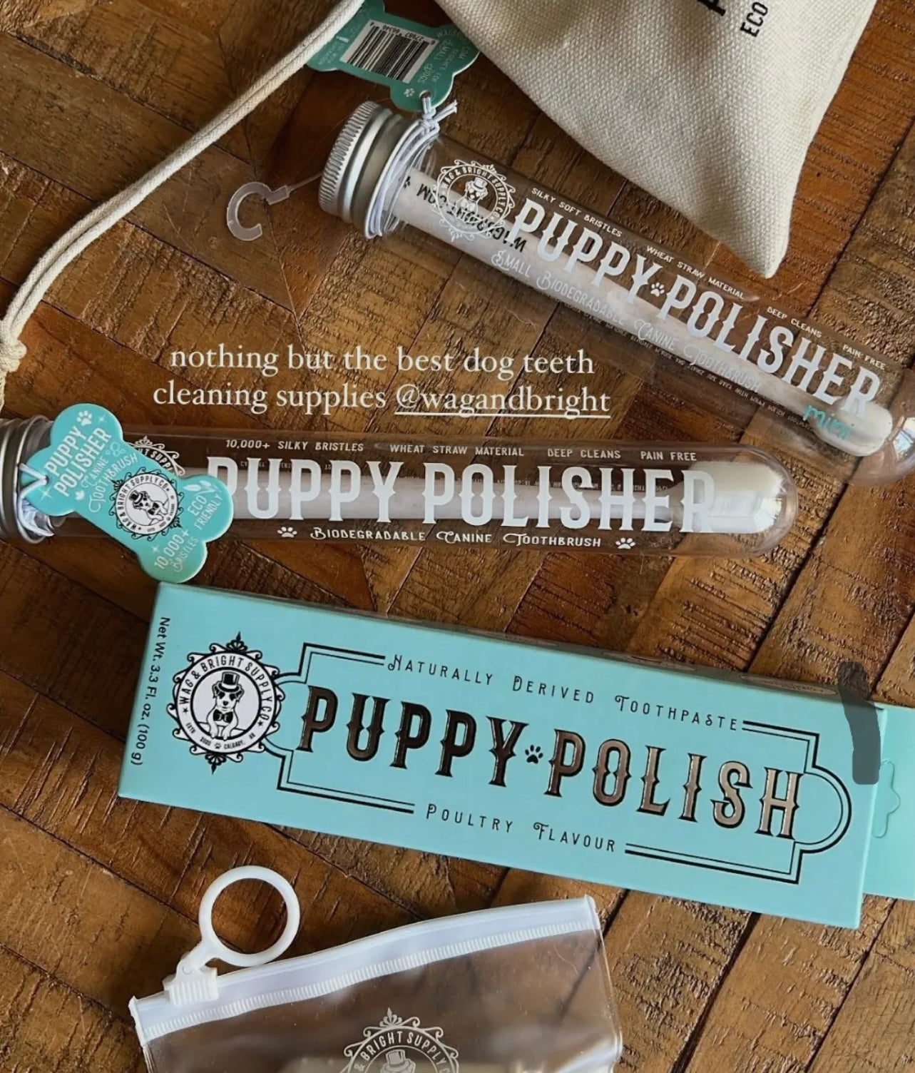 Puppy Polish Toothpaste - Filet Mignon (Beef)