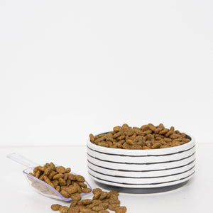 Vibrant Salmon Superfood Dog Food (Poultry-Free) 4lb