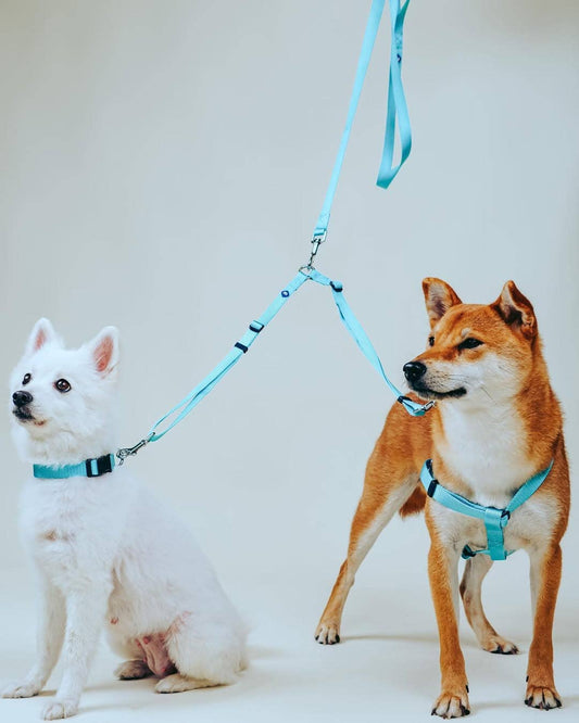 🐕🐕Double Dog Leash Coupler for Walking 2 Dogs
