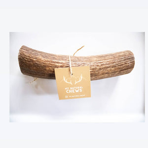 Elk Antler Chew-Various Sizes
