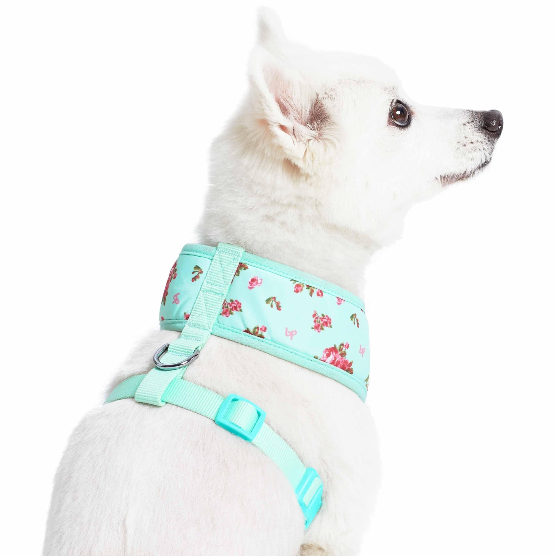 3 Colors, Petal Paws Floral Dog Harness Vest