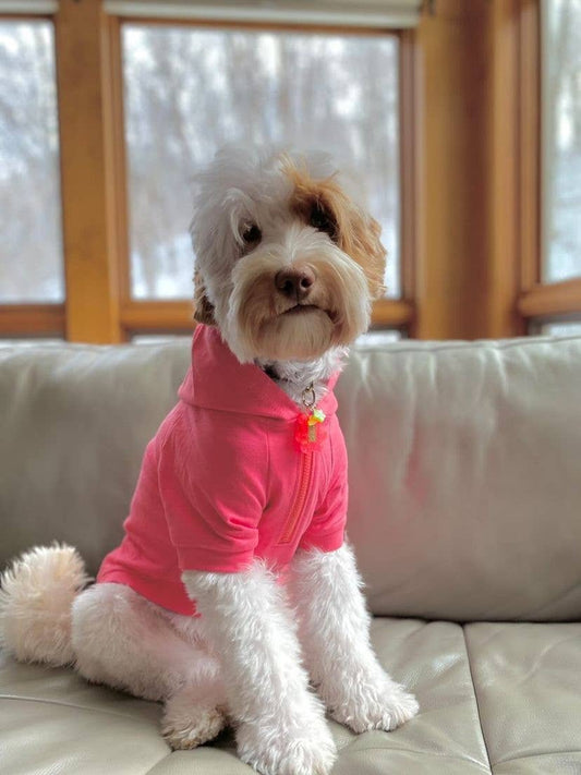 "Cute AF" Dog Hoodie - 100% Cotton Pet Clothes