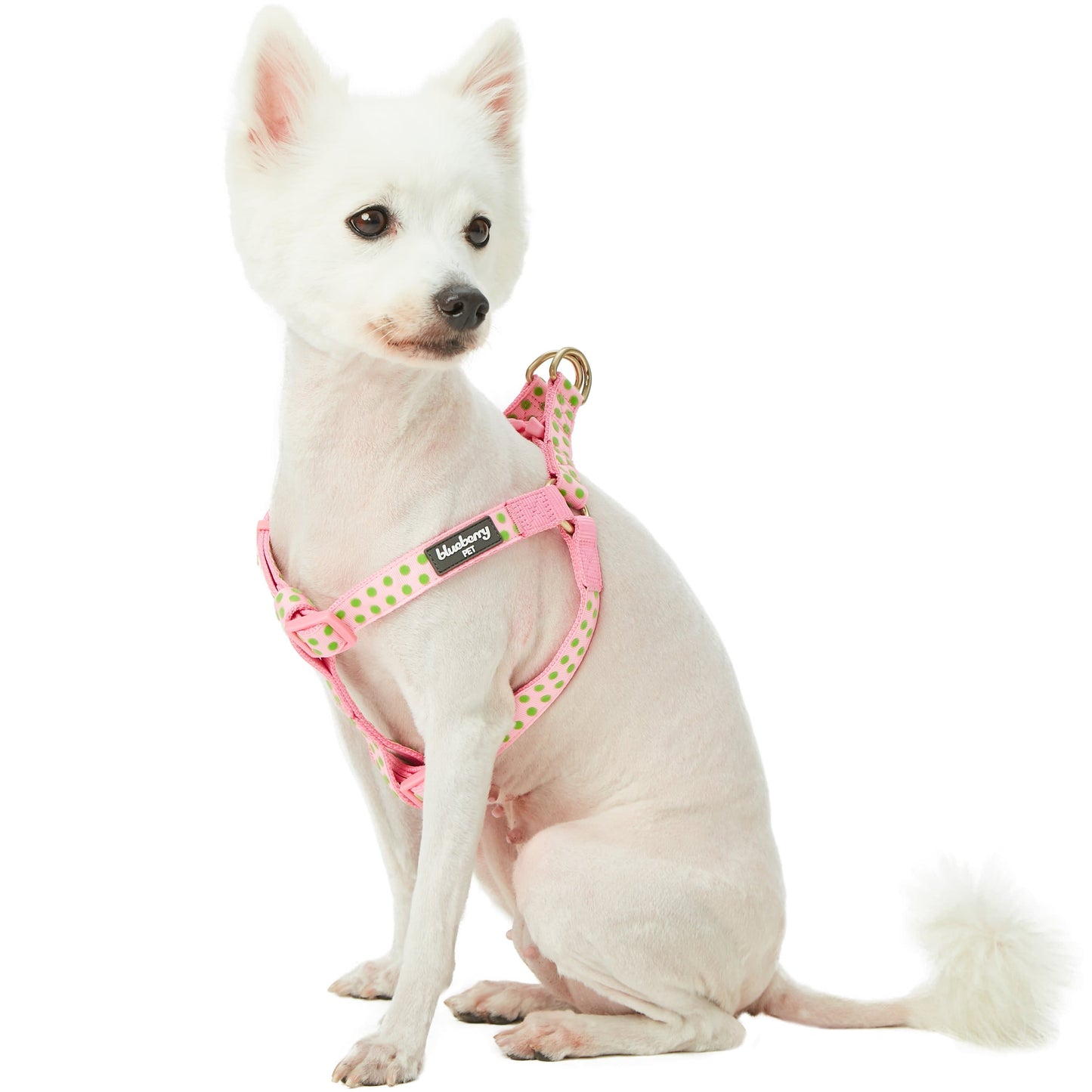 🐾✨Velvety Polka Dot Flocking Dog Harness