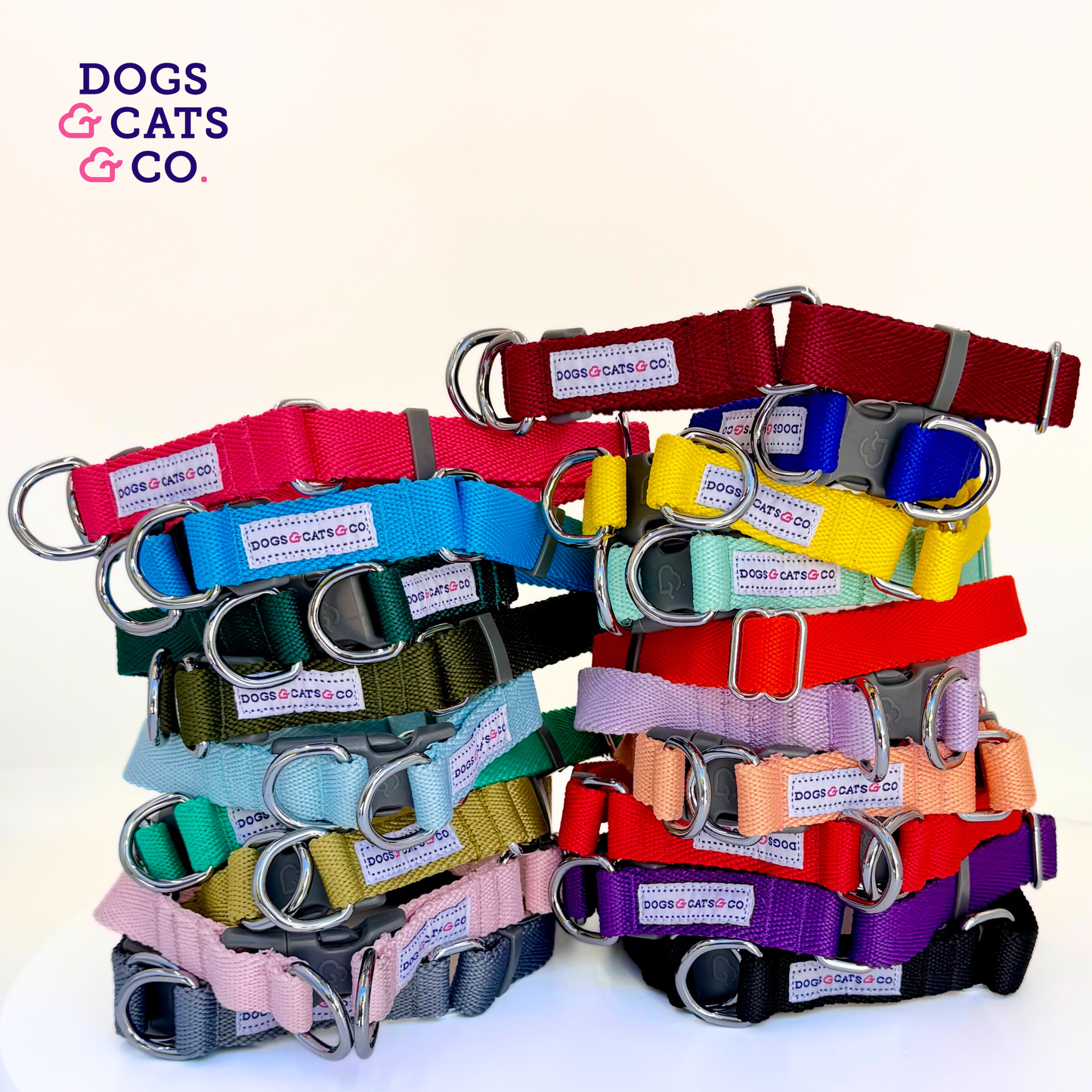 ✨ Dogs & Cats & Co. Double D-Ring Dog Collar 🐾