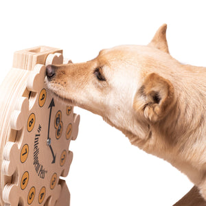 Pet's O'Clock Enrichment Toy