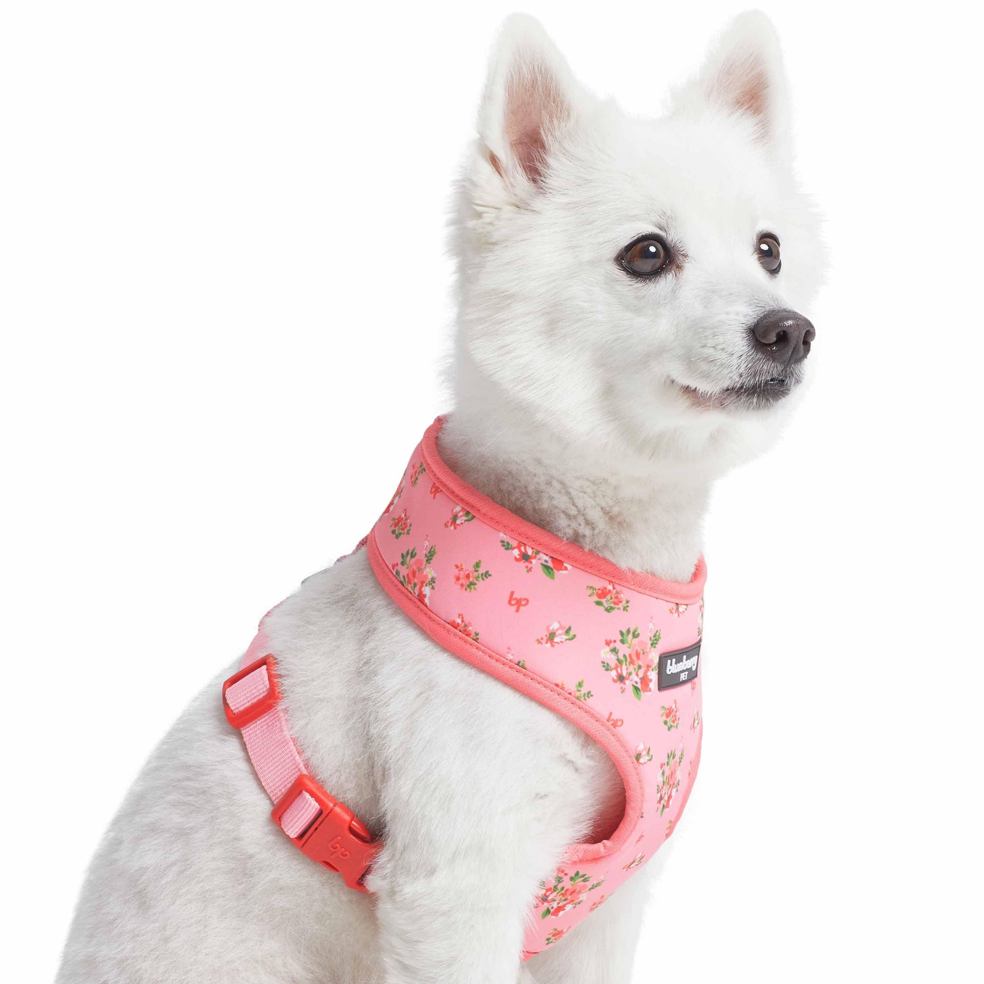 3 Colors, Petal Paws Floral Dog Harness Vest
