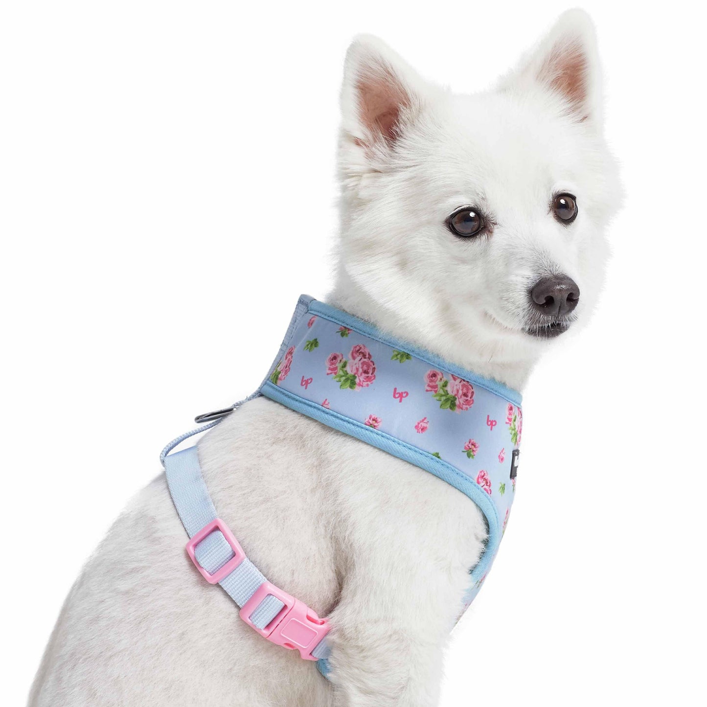🌸🐾 Petal Paws Floral Dog Harness Vest