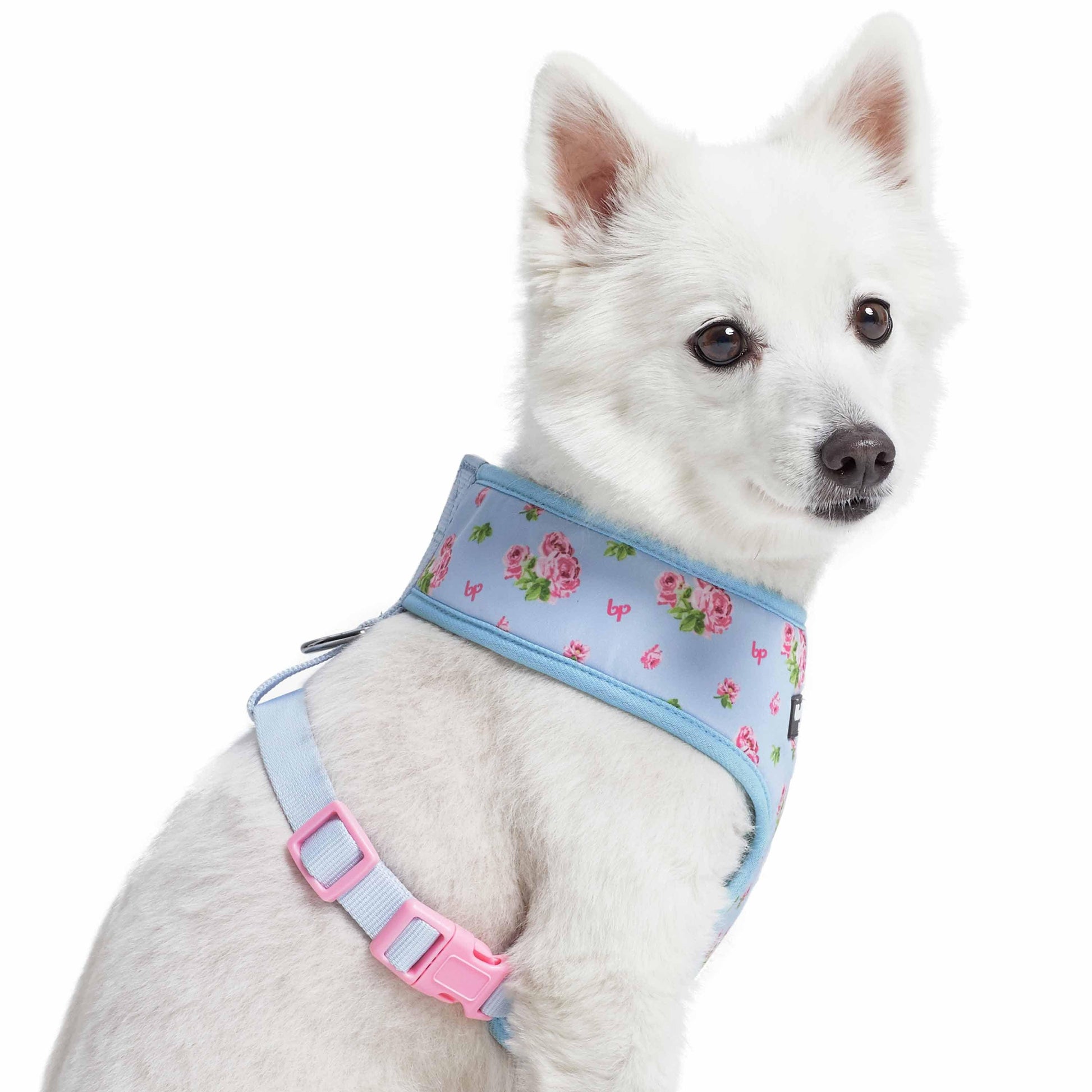 3 Colors, Petal Paws Floral Dog Harness Vest