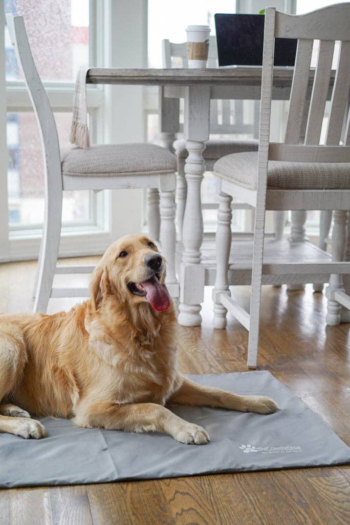 Cool Pet Pad Cover