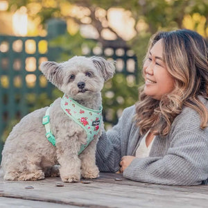 Petal Paws Floral Dog Harness Vest