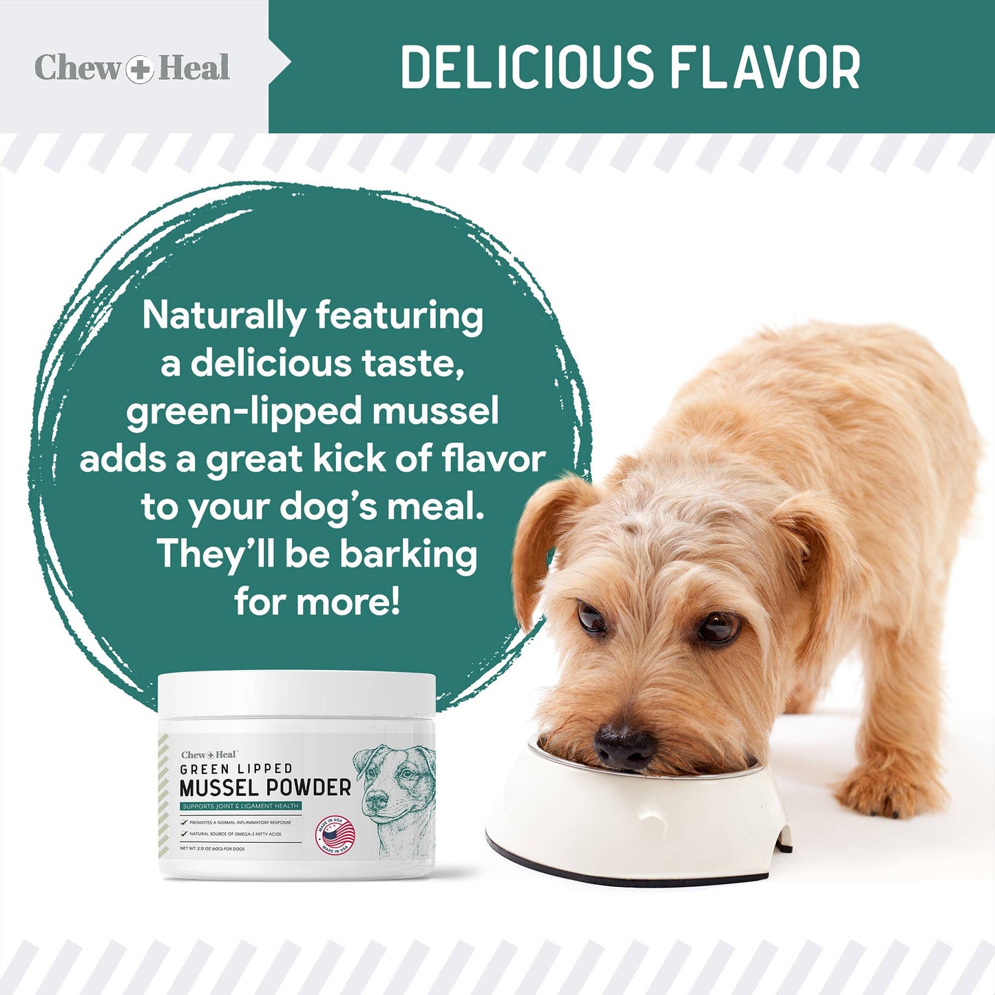 🦪🐾 Green-Lipped Mussel (GLM) Powder for Dogs – Joint Support Superfood