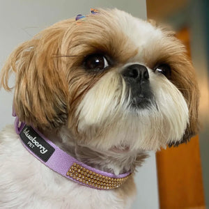 Bling Crystal Rhinestone Dog Collars