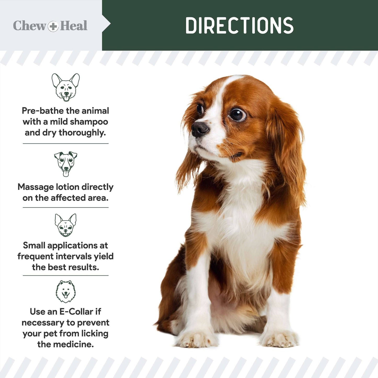 🧴🐾 Hydrocortisone Lotion for Dogs – Fast Itch Relief & Skin Soothing Care