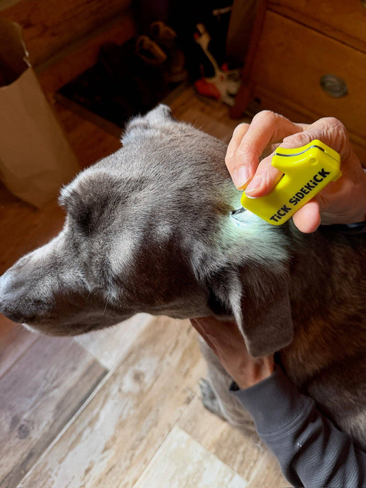 🔦🪲 TiCK SiDEKiCK | Compact Multi-Tool Tick Remover for Pets & People 🐾