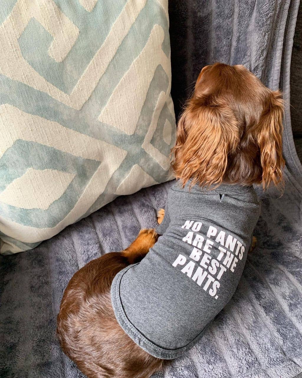 🐶✨No Pants Are The Best Pants Pet T‑Shirt