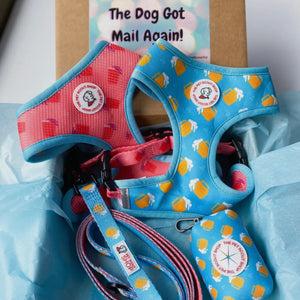 Summer Beer Reversible Harness