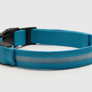 Led Safety Light-Up Dog Collar