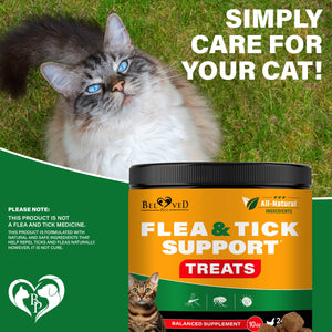 Flea & Tick Prevention - Cats