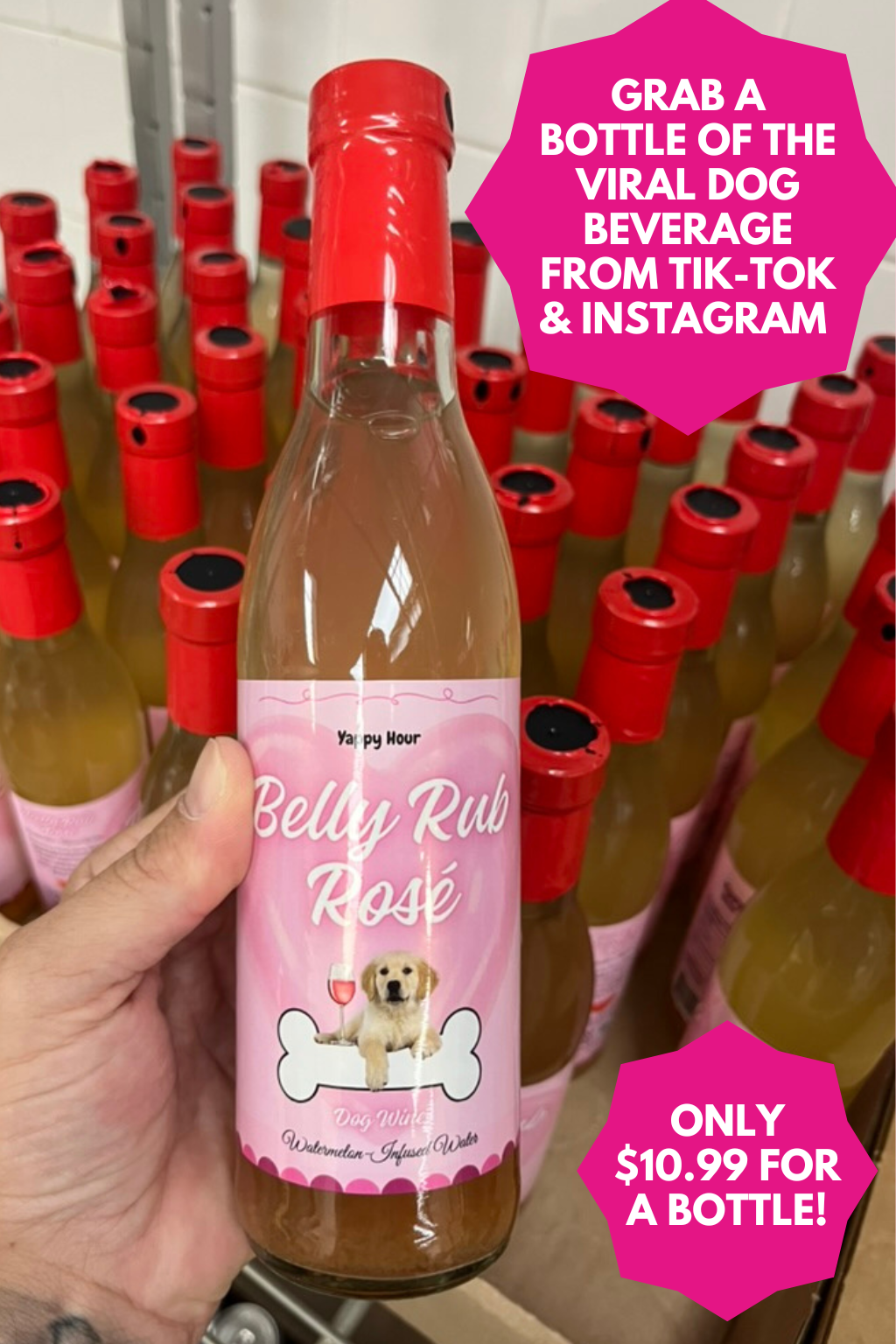 🍉🍷Belly Rub Rosé Dog Wine | Watermelon