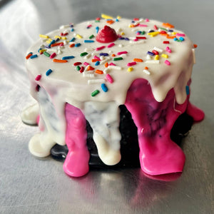 Neapolitan “ICE CREAM” Dog Cake Treat