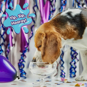 Lazy Dog Pup-Pop Birthday Water Vanilla Cake Flavor