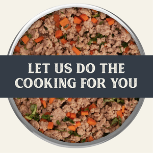 Gently Cooked Duck & Kale