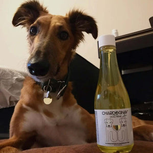 Dog Wine Liquid Supplement