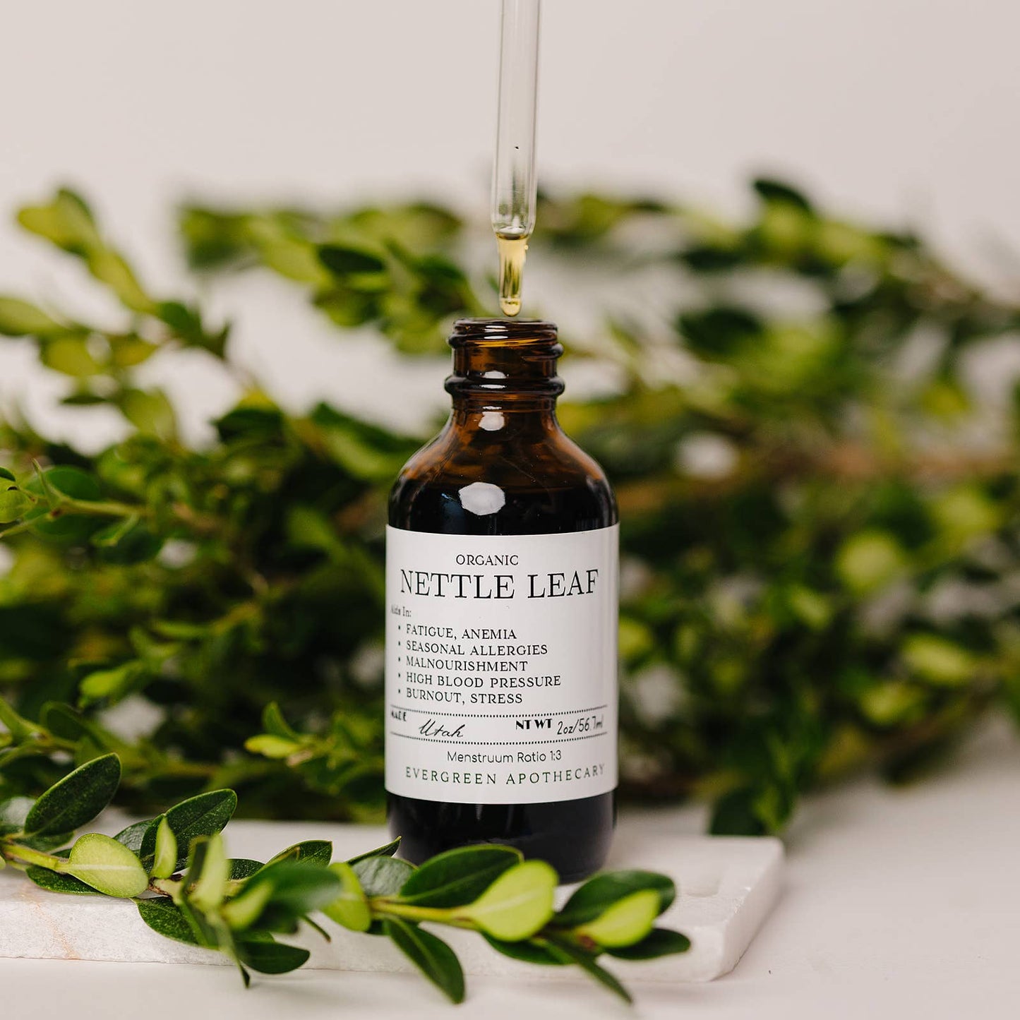🌿✨Nettle Leaf Tincture Herbs for Symptoms No. 10
