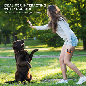 Pilot & Scout Chew N Play Treat Dispensing Dog Toy