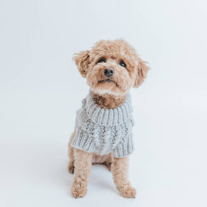 Dog Cable Knit Sweater - Gray