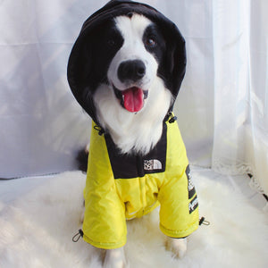 The Dog Face Pet Jacket