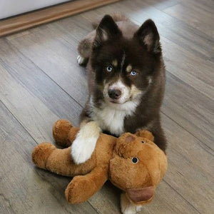 🐻💛 Roosevelt the Bear Plush Toy