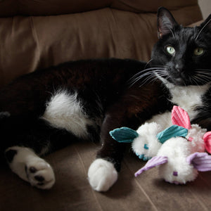 🐱💨HuggleKats® Dust Bunnies Cat Toys (3pk)