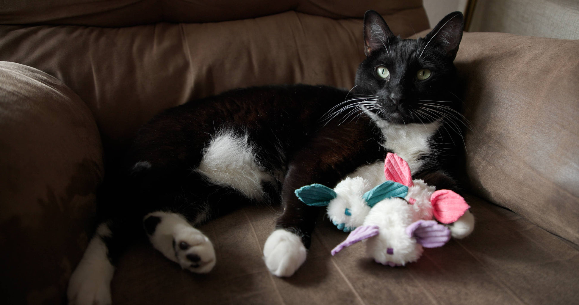 🐱💨HuggleKats® Dust Bunnies Cat Toys (3pk)