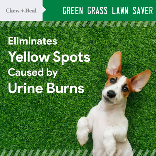Chew + Heal Grass Saver Chews For Dogs| Dog Urine Grass Saver| 120 Soft Chews