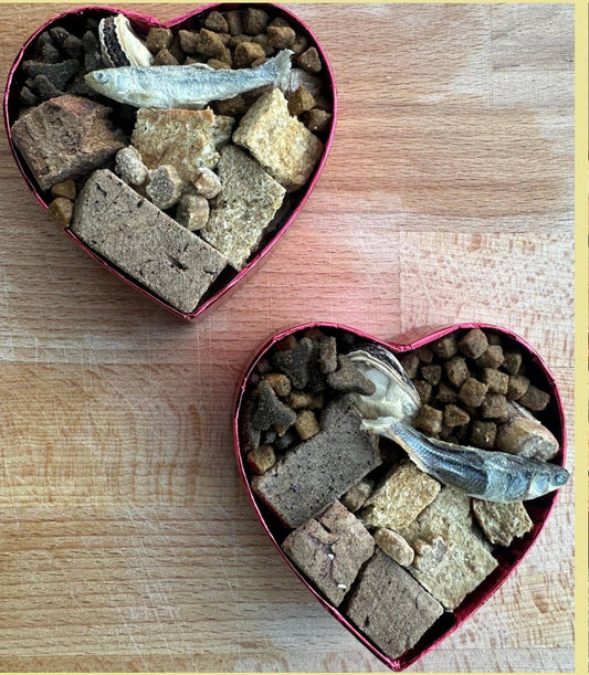 💖🐱 Cat Charcuterie Hearts – The Purr-fect Valentine's Treat Box 🐱💖