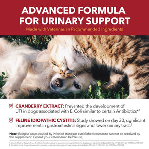 Cranberry Urinary Support Powder for Dogs & Cats