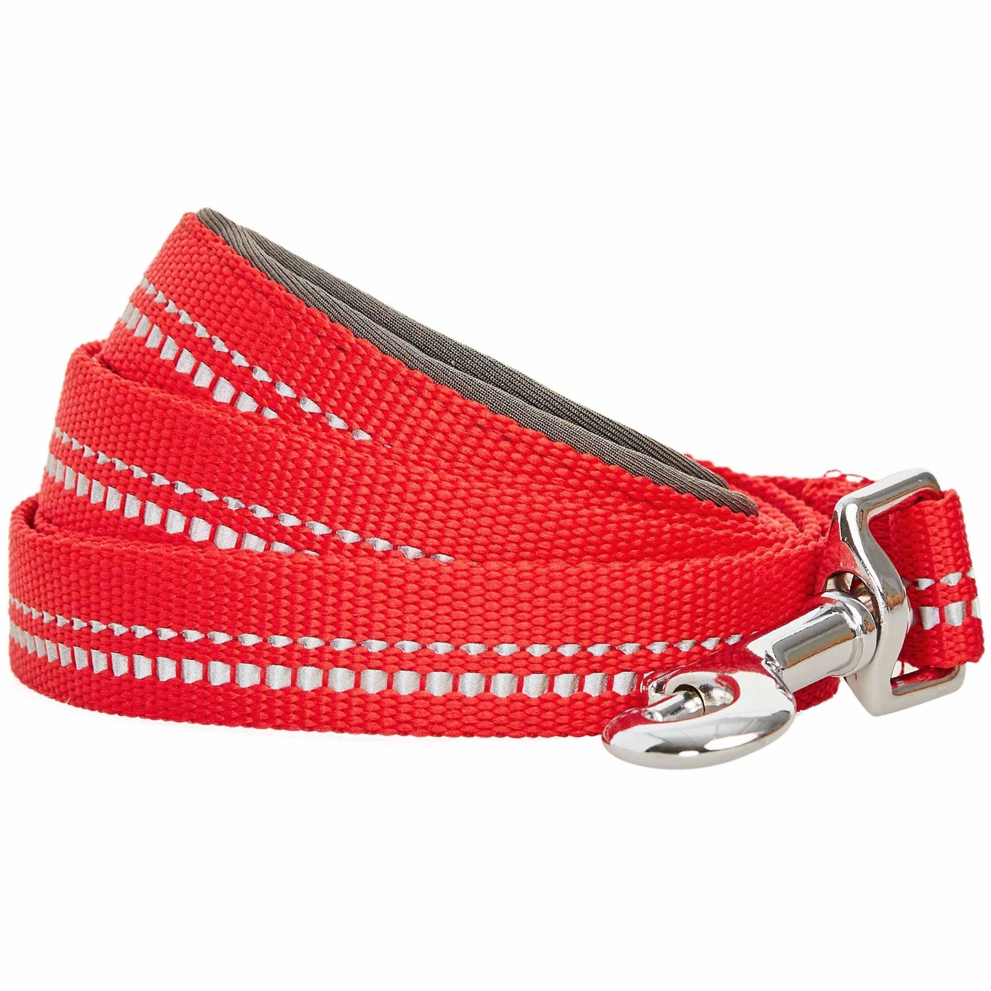 🌸 Spring Colors Reflective Soft Padded Safety Dog Leash