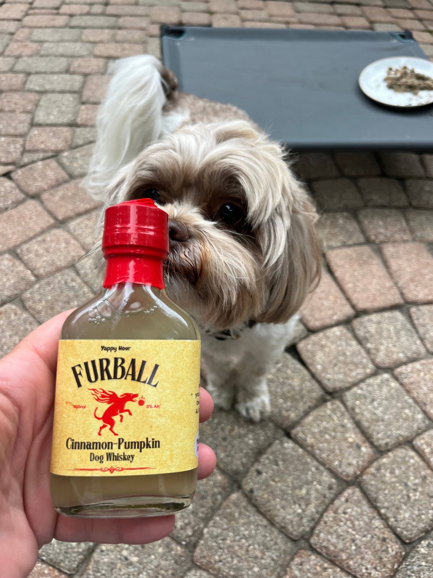 Furball Dog Whiskey Minis 100ml | Pumpkin