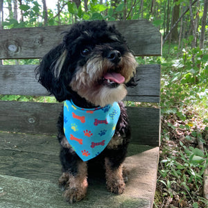Party Bones - Pet Bandana
