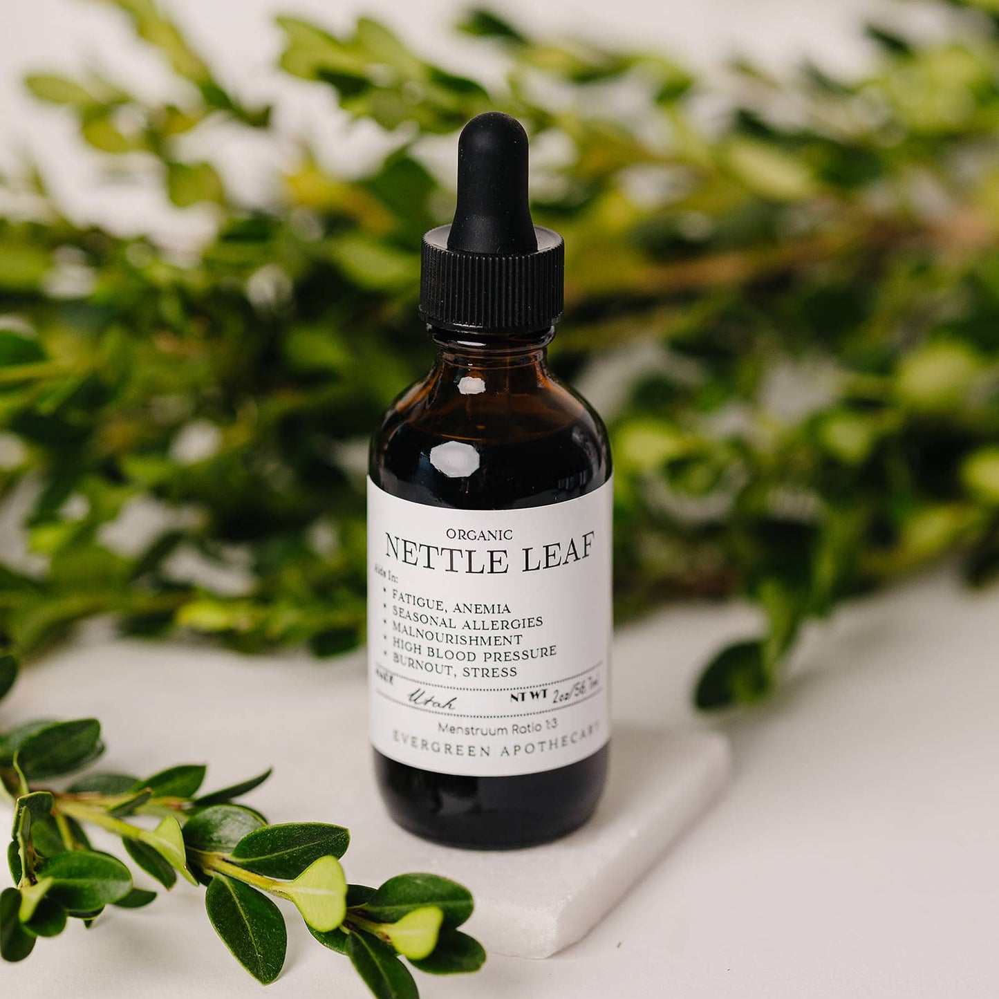 🌿✨Nettle Leaf Tincture Herbs for Symptoms No. 10