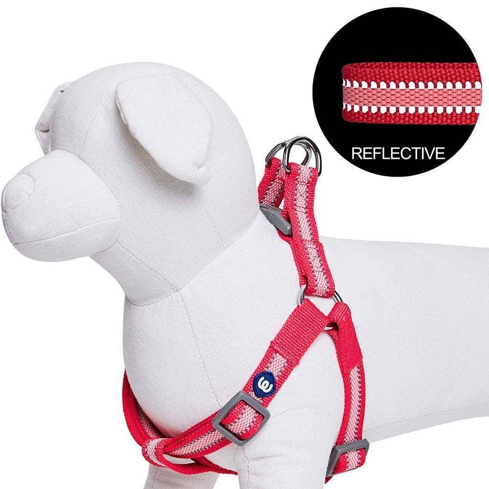 🌙🐾Better Basics Reflective Dog Harness