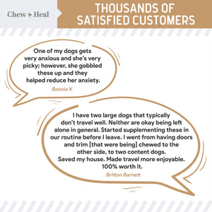 Anxiety + Stress Dog Peanut Butter Flavor