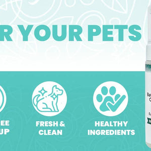4.25 oz. Bath Free Foaming Freshener- Eucalyptus Peppermint