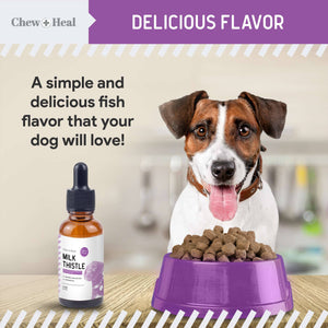 Milk Thistle Tincture for Dogs for Liver & Kidney Health