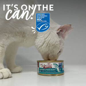 Whitefish & Potato Pate for Cats