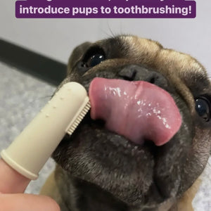Puppy Polisher Finger Brush (One Size)