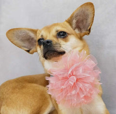 🌸❤️Flower + Heart Pendant Collar Accessory Set