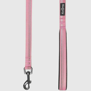 Spring Colors 3M Reflective Soft Padded Safety Leash