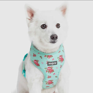 Petal Paws Floral Dog Harness Vest